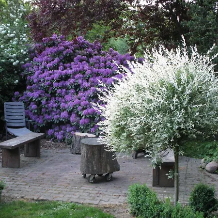 Stegens Hof Soderstorf